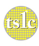 Taiwan Semiconductor Corporation